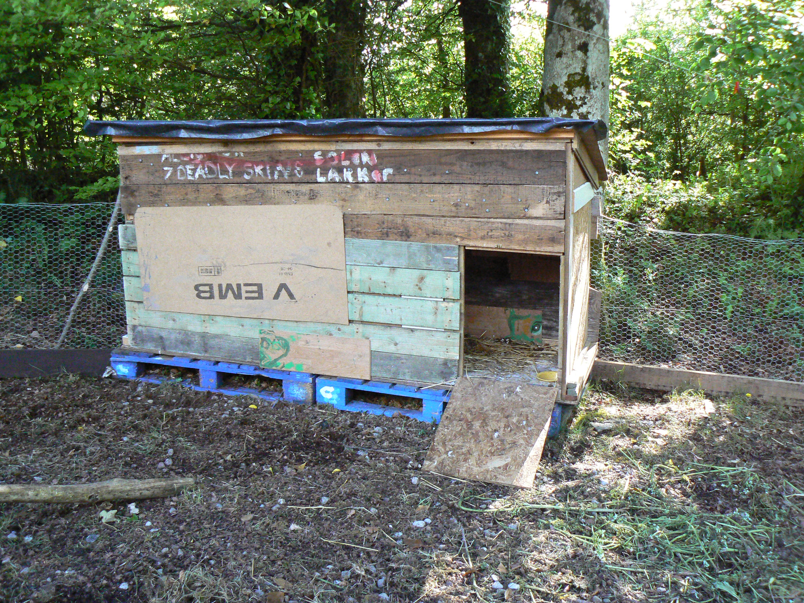 Homemade Chicken Coops